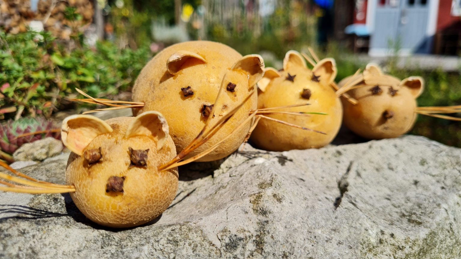  Tolle Ideen zum Thema Mäuse • Kindergarten Ideen Bildidee 