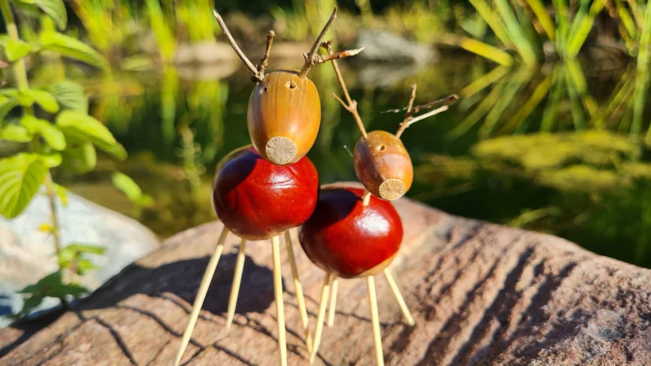 Kastanien • Übersicht • Kindergarten Ideen