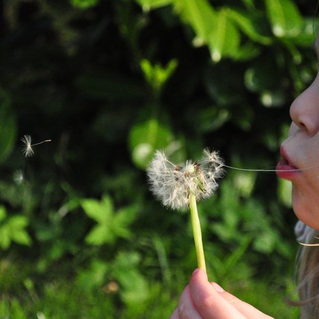  10 tolle Ideen für den Frühling im Kindergarten • Kindergarten Ideen Bildidee 