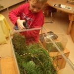10 Ideen für den Frühling im Kindergarten • Wald