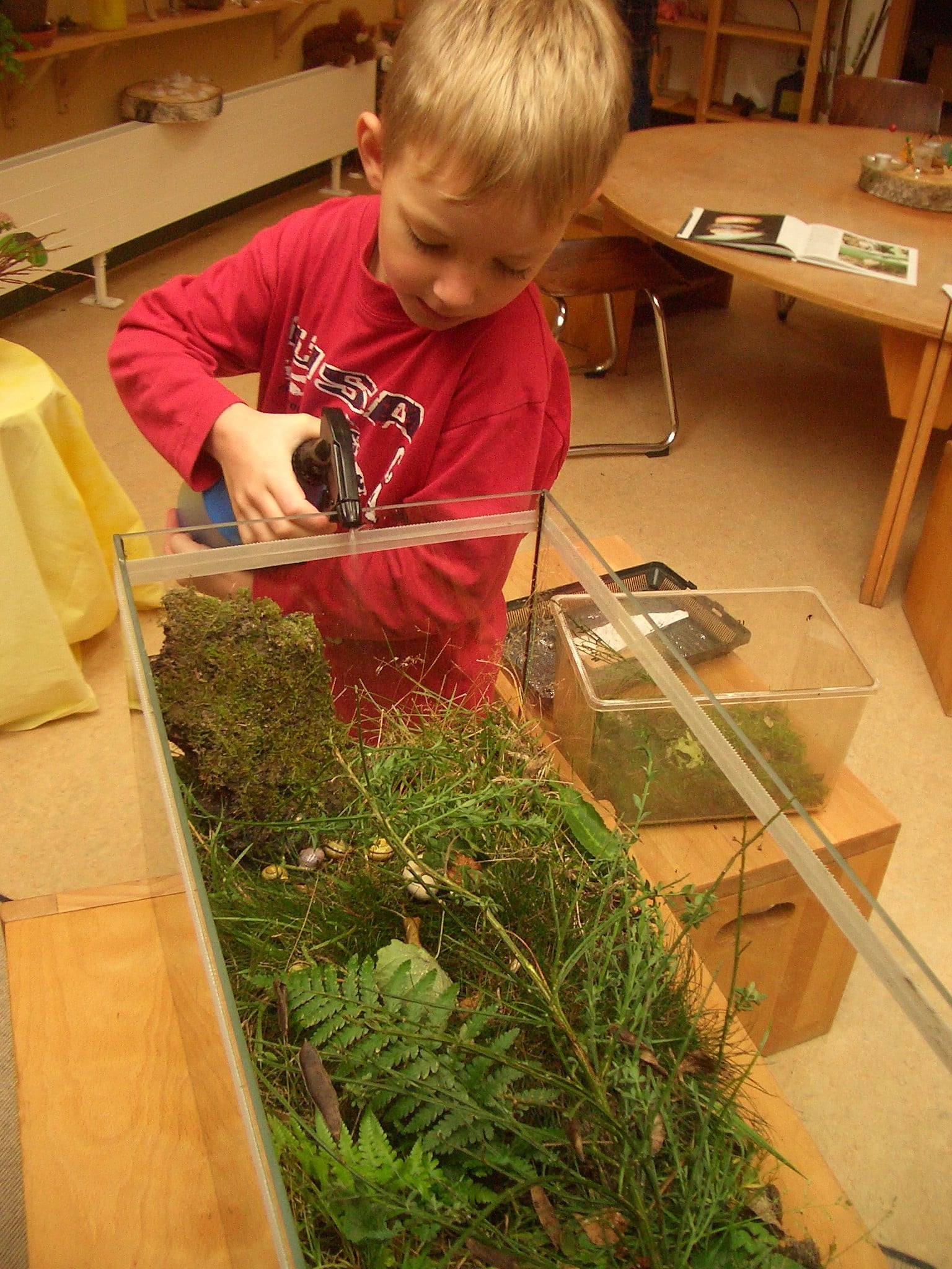  Tiere - So wertvoll für Kinder • Kindergarten Ideen Illustration 