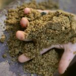 Spielzeugfreier Kindergarten: Elternabend