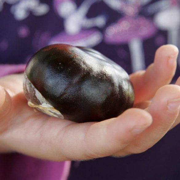  Die Geschichte vom Kartoffelkönig • Kindergarten Ideen Illustration 