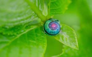 Farbenschnecke – Gemeinschaftsbild mit bunten Farben