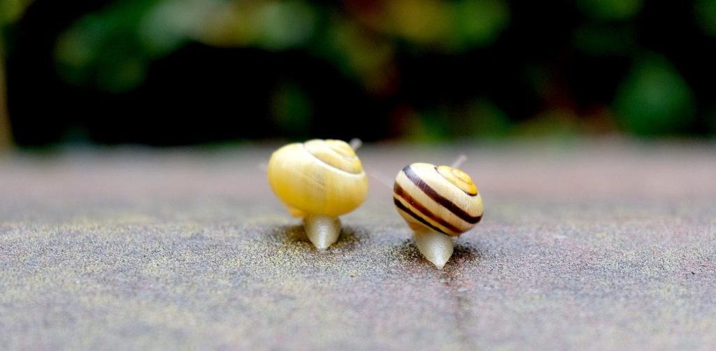  Tolle Ideen zum Thema Schnecken • Kindergarten Ideen 