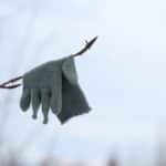 Wie viele Tiere passen wohl in einen Handschuh?