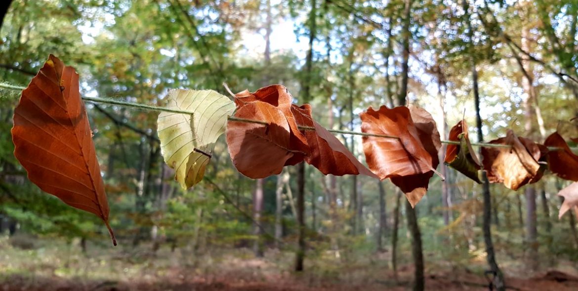  Herbst-Girlande • Kindergarten Ideen Motiv 