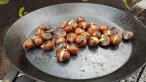 Esskastanien über`m Feuer zubereiten