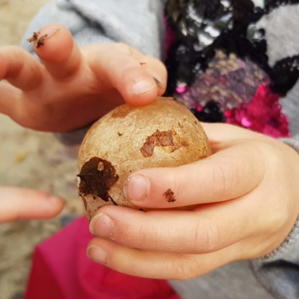  Foto zu Die Geschichte vom Kartoffelkönig • Kindergarten Ideen 