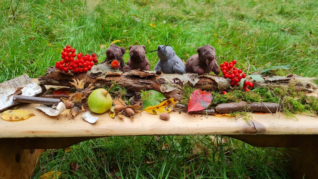  Foto zu Herbst • Übersicht • Kindergarten Ideen 