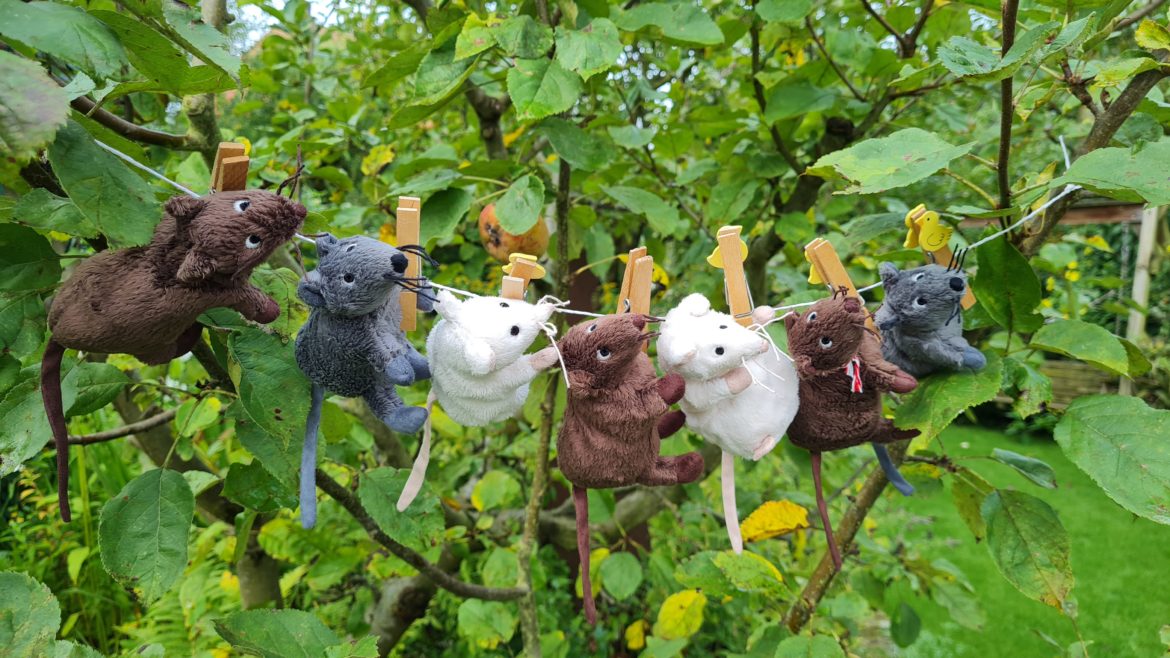 Frederick und seine Mäusefamilie • Kindergarten Ideen