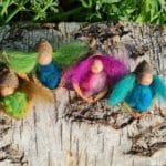 Wollige Eichelkinder in Walnuss-Wiegen