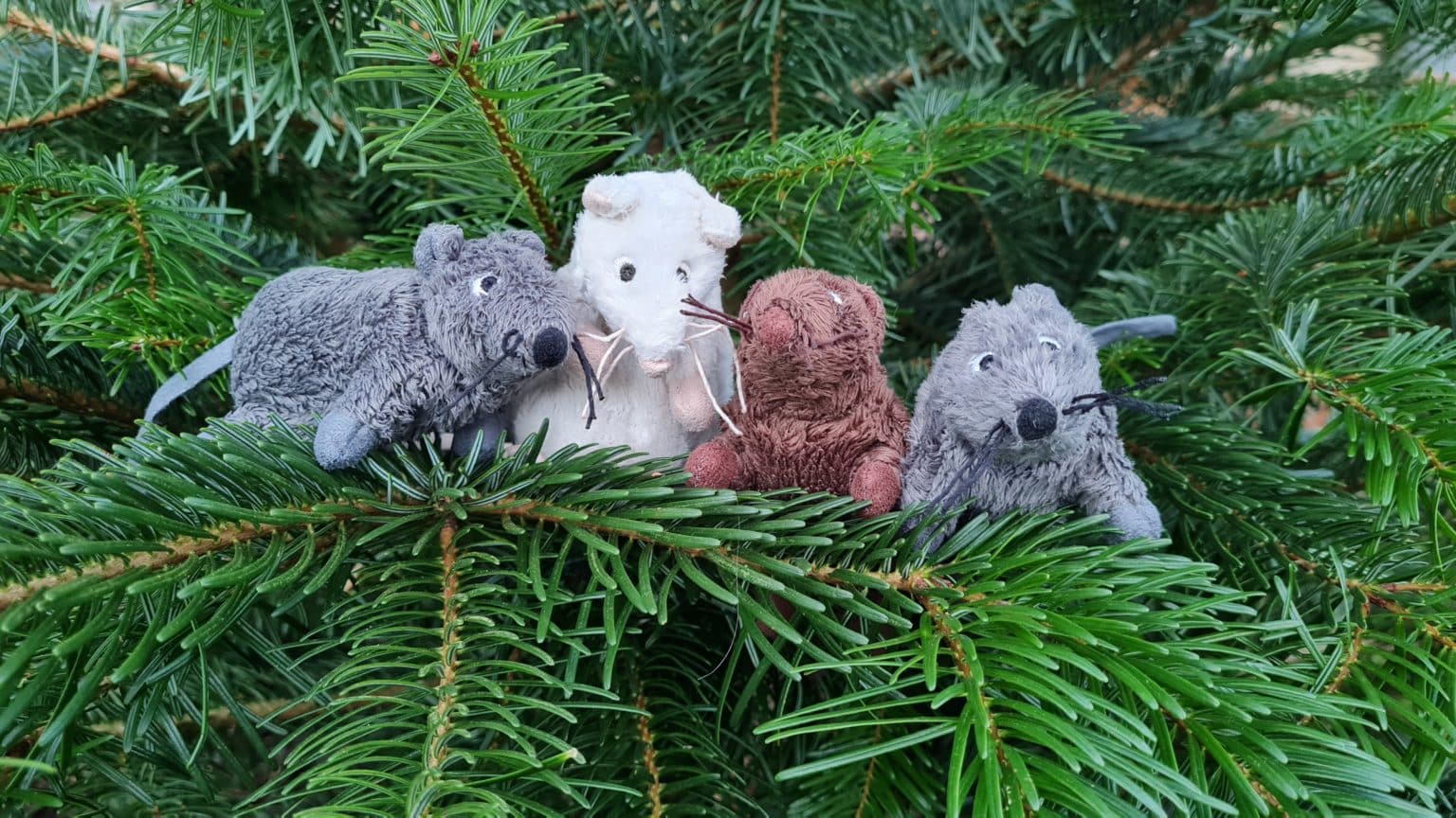  Tolle Ideen zum Thema Mäuse • Kindergarten Ideen Motiv 