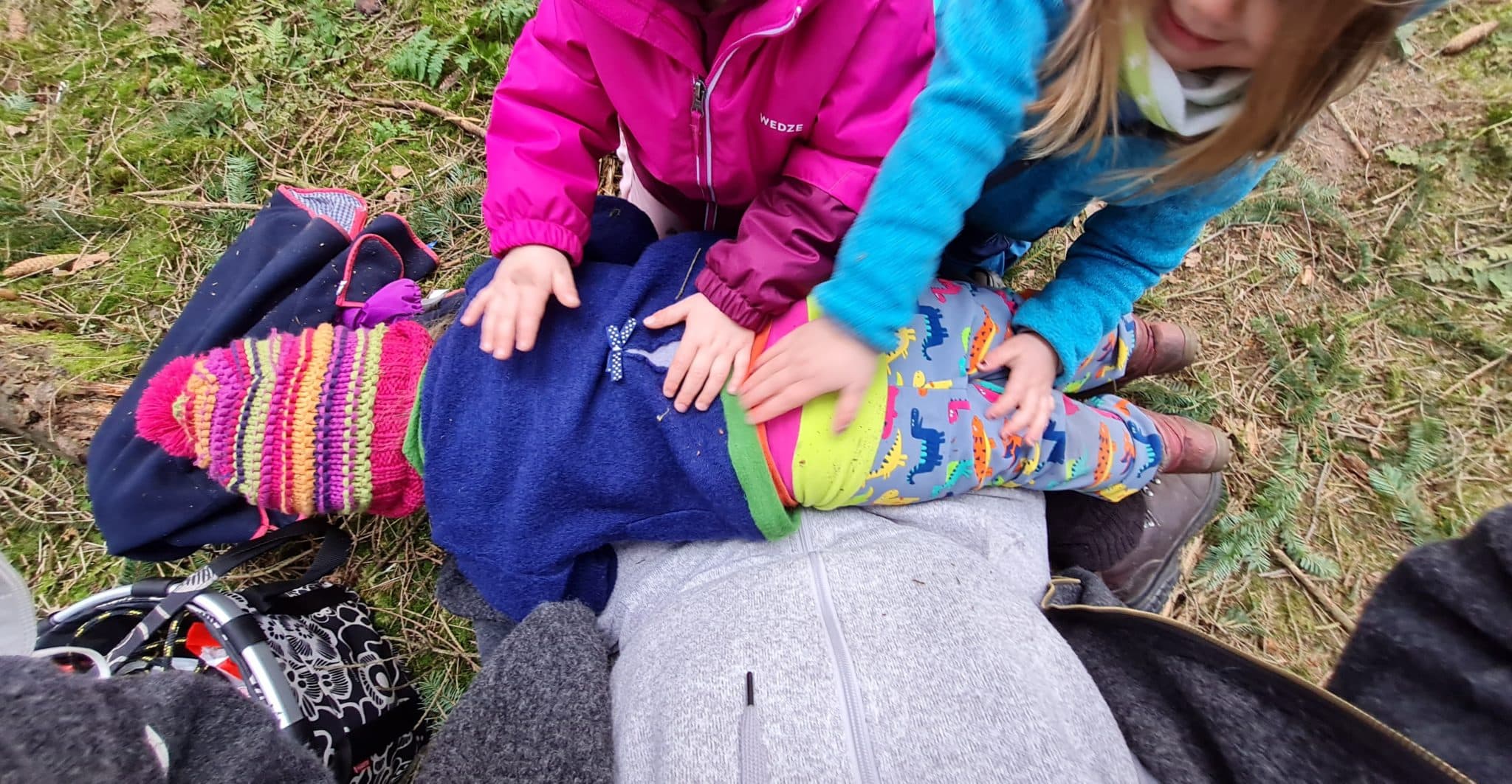  Tolle Ideen zum Thema Tiere • Kindergarten Ideen Illustration 