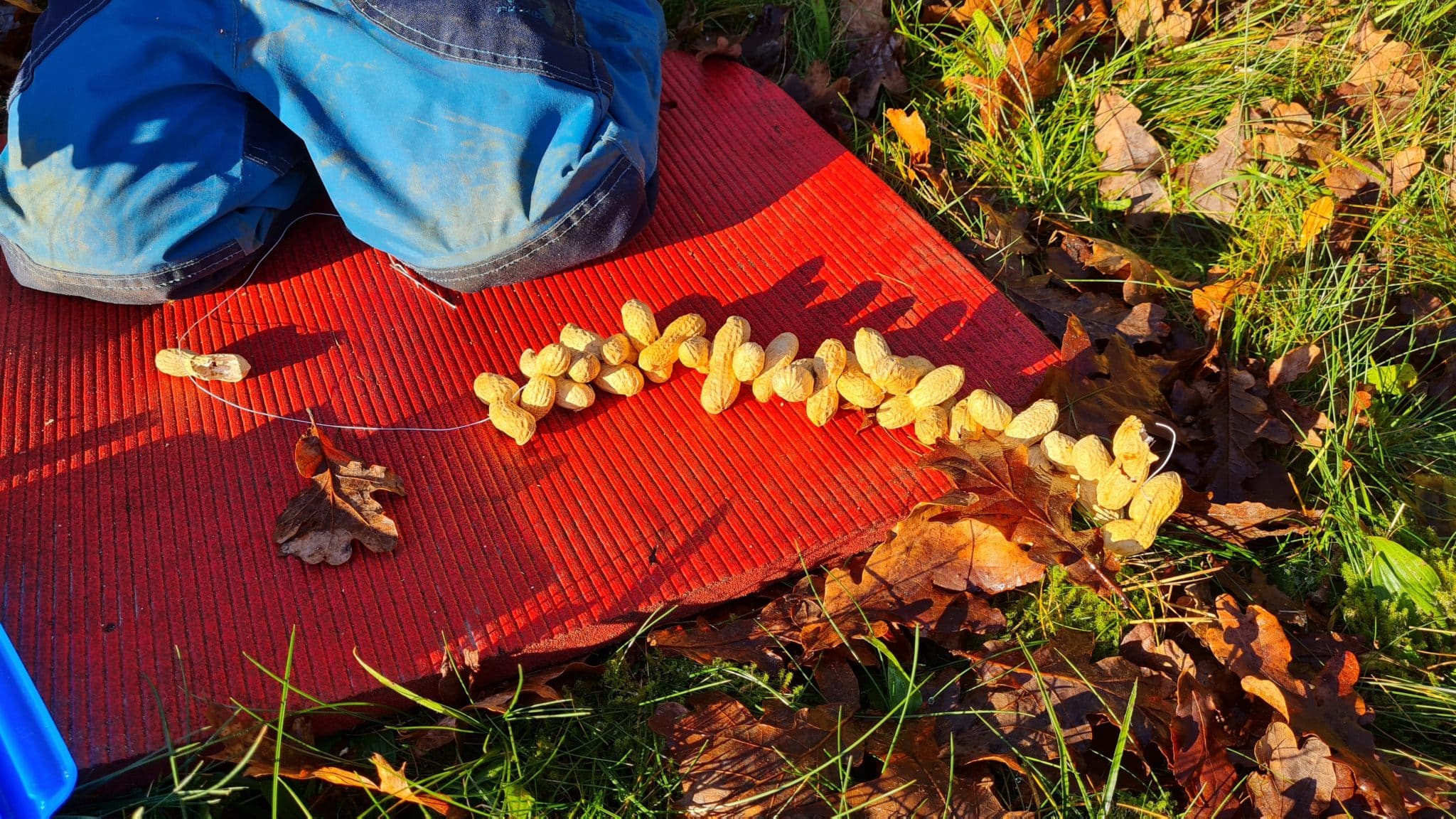 Gestalten • Übersicht • Kindergarten Ideen