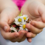 10 Ideen für den Frühling im Kindergarten
