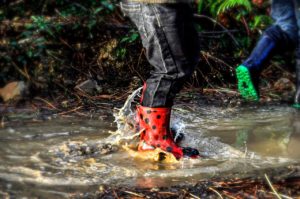 Reckig – neulich im Regen