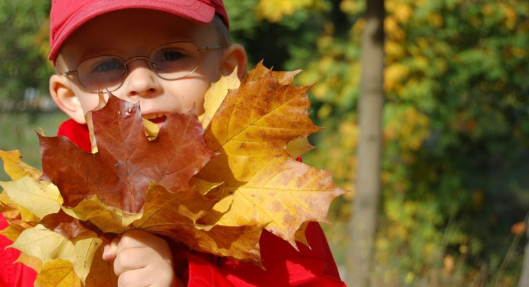 Tolle Ideen zum Thema Herbst • Kindergarten Ideen
