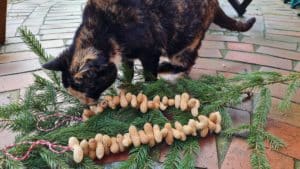 Tschüss Baumschmuck, hallo Vogelfutter! • Ideenkiste