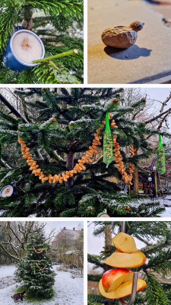 Tschüss Baumschmuck, hallo Vogelfutter! • Ideenkiste