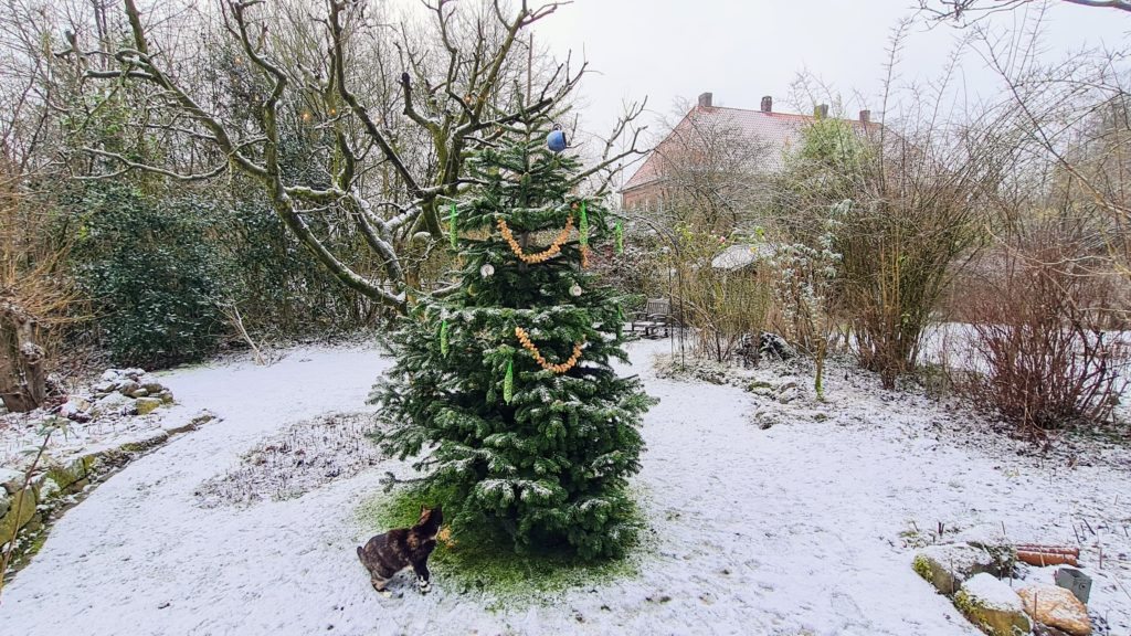 Tschüss Baumschmuck, hallo Vogelfutter!