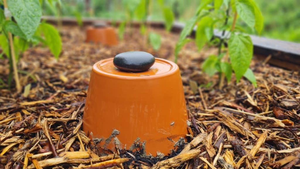 Ollas – Bewässern mit Ton und Köpfchen