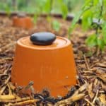 Ollas – Bewässern mit Ton und Köpfchen