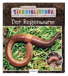 Meine große Tierbibliothek: Der Regenwurm: Sachbuch für Vorschule & Grundschule