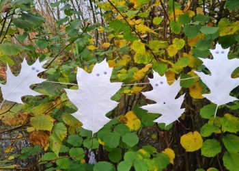 blatt-gespenster (3)