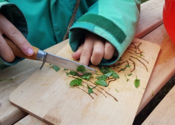 Delikatessen am wegesrand • ideenkiste frischkaese (2)