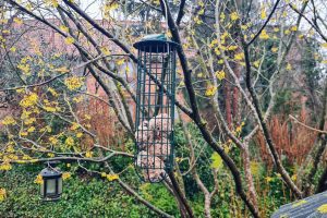 Wenn die meisen kinderzimmer planen • ideenkiste Futterstation