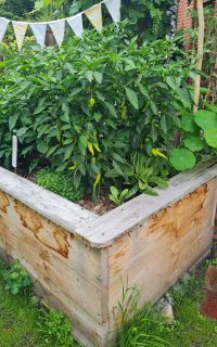 Hochbeet mit 2 Ollas