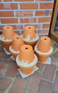 Ollas selbst gemacht