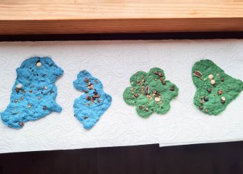 samen-teppiche (7)