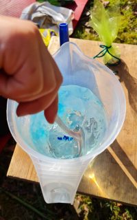 strand-in-flasche2