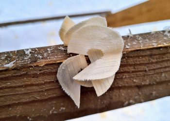 Holzlocken
