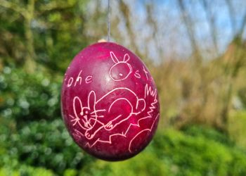 wachs-eier (1)