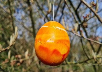 wachs-eier (14)