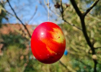 wachs-eier (15)