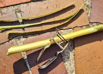 weidenrinde-als-band (8)