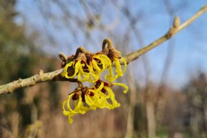 Wenn die meisen kinderzimmer planen • ideenkiste Zaubernuss